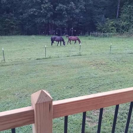 The Ranch In Mt Airy Βίλα Mount Airy Εξωτερικό φωτογραφία