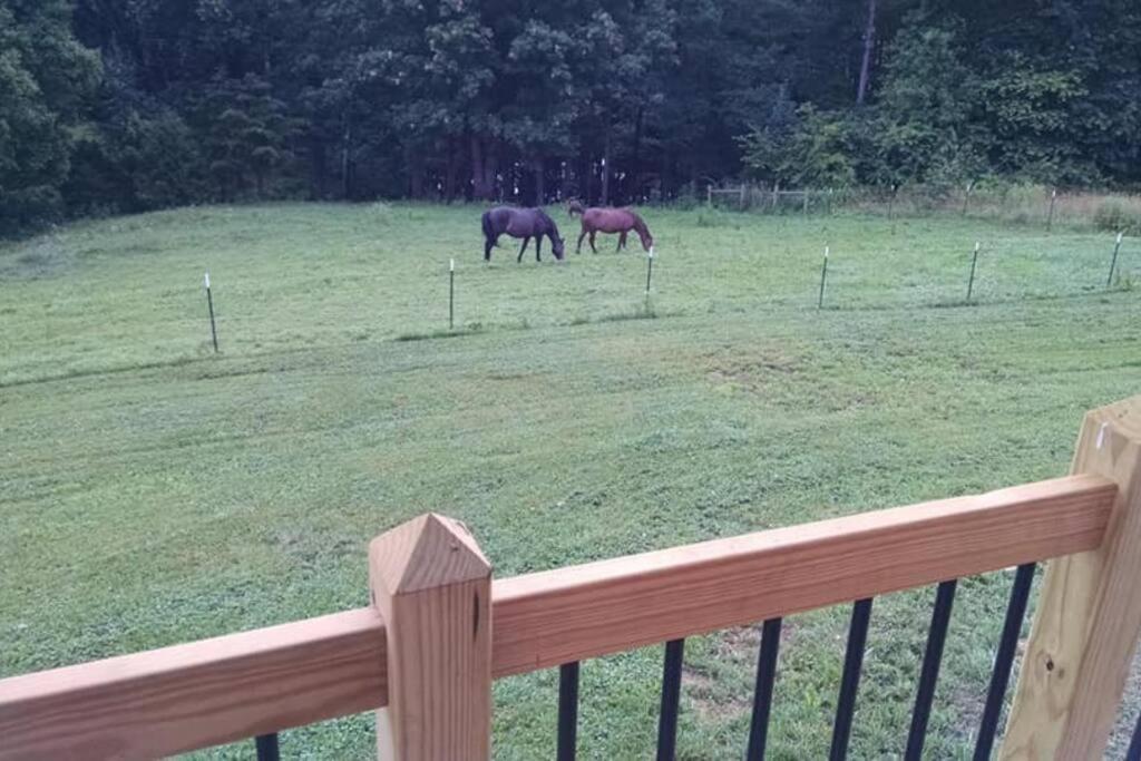 The Ranch In Mt Airy Βίλα Mount Airy Εξωτερικό φωτογραφία